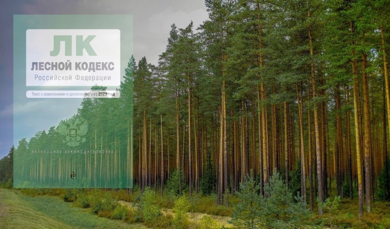 МАРИЕВ Александр Николаевич<br>